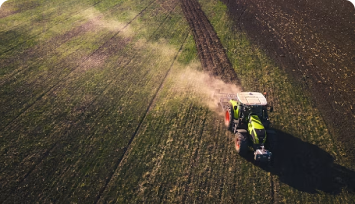 Agro Forestry Land